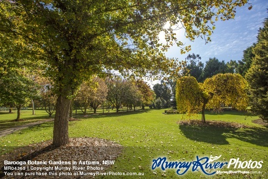 Barooga Botanic Gardens in Autumn, NSW