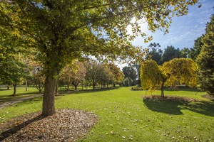 Barooga Botanic Gardens in Autumn, NSW