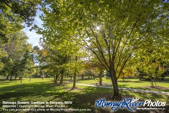 Barooga Botanic Gardens in Autumn, NSW