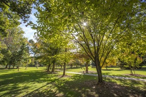 Barooga Botanic Gardens in Autumn, NSW