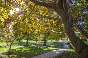 Barooga Botanic Gardens in Autumn, NSW