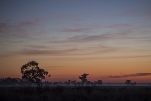 Sunrise near Kerang, Victoria