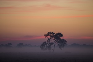 Sunrise near Kerang, Victoria