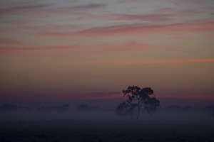 Sunrise near Kerang, Victoria