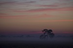 Sunrise near Kerang, Victoria