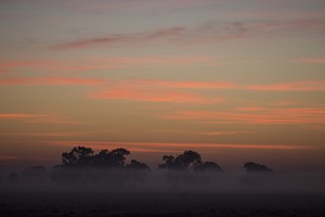 Sunrise near Kerang, Victoria