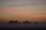 Sunrise near Kerang, Victoria