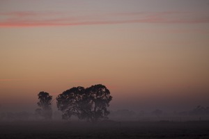 Sunrise near Kerang, Victoria