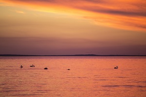 Sunset over Lake Albert, Meningie, Coorong Country