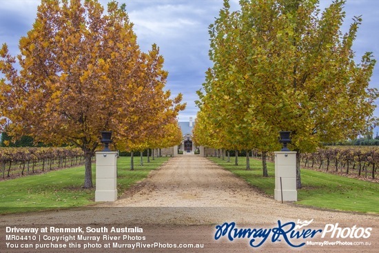 Driveway at Renmark, South Australia