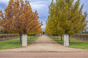 Driveway at Renmark, South Australia