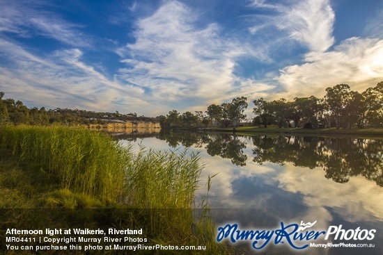 Afternoon light at Waikerie, Riverland