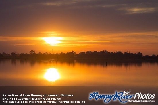 Reflection of Lake Bonney on sunset, Barmera