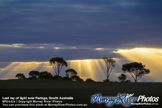 Last ray of light near Paringa, South Australia