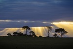 Last ray of light near Paringa, South Australia