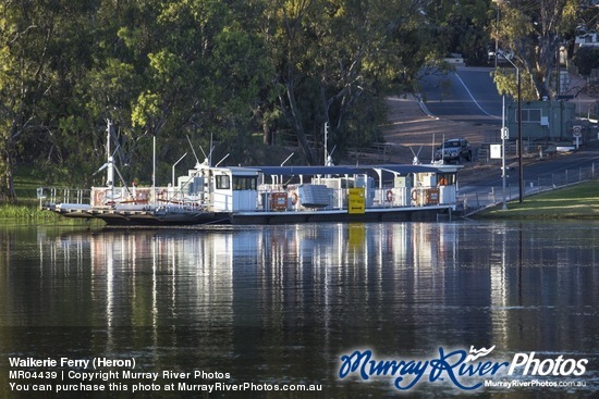 Waikerie Ferry (Heron)