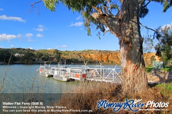 Walker Flat Ferry (Stilt II)