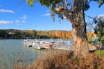 Walker Flat Ferry (Stilt II)