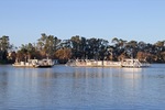 Mannum Ferries (Swan and Avocet)