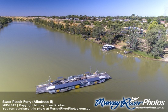 Swan Reach Ferry (Albatross II)