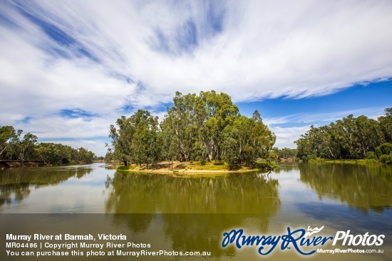 Murray River at Barmah, Victoria