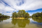Murray River at Barmah, Victoria