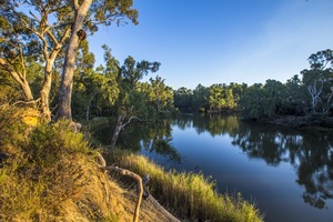 Murray River west of Corowa, NSW