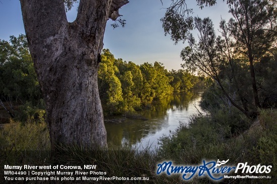 Murray River west of Corowa, NSW