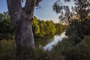 Murray River west of Corowa, NSW