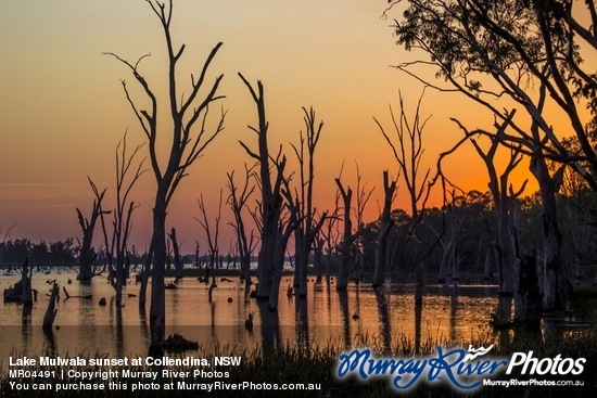 Lake Mulwala sunset at Collendina, NSW