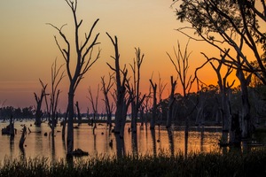 Lake Mulwala sunset at Collendina, NSW