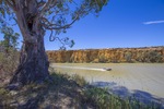 Out in the tinny on the Murray River near Swan Reach, South Australia