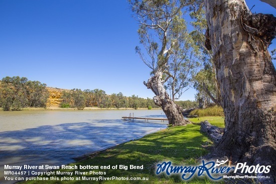 Murray River at Swan Reach bottom end of Big Bend