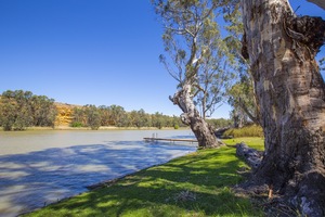 Murray River at Swan Reach bottom end of Big Bend