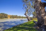 Murray River at Swan Reach bottom end of Big Bend