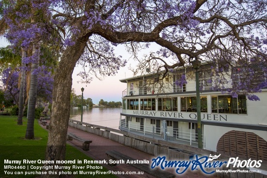 Murray River Queen moored in Renmark, South Australia