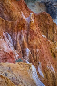 Eroded cliffs of Headings Cliffs, Murtho, Riverland