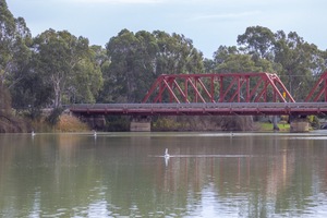 Paringa Bridge with pelicans, calm day on te Murray River, Riverland