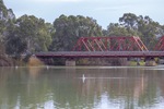 Paringa Bridge with pelicans, calm day on te Murray River, Riverland