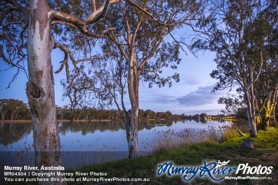 Murray River, Australia