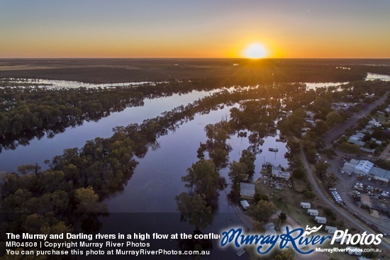 The Murray and Darling rivers in a high flow at the confluence, Wentworth, New South Wales