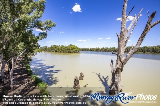 Murray Darling Junction with two rivers, Wentworth, NSW