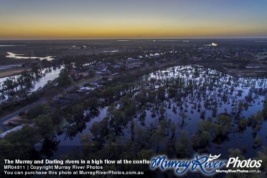 The Murray and Darling rivers in a high flow at the confluence, Wentworth, New South Wales